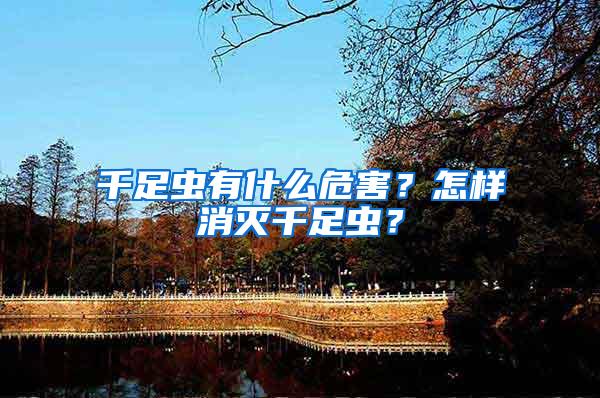 千足蟲(chóng)有什么危害？怎樣消滅千足蟲(chóng)？