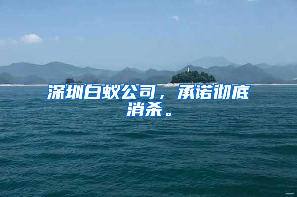 深圳白蟻公司，承諾徹底消殺。