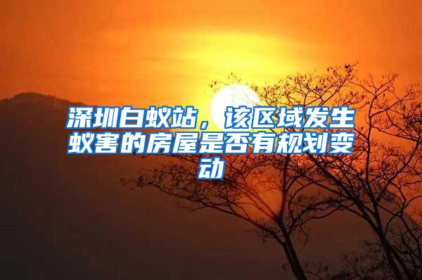 深圳白蟻站，該區(qū)域發(fā)生蟻害的房屋是否有規(guī)劃變動