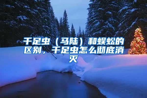 千足蟲（馬陸）和蜈蚣的區(qū)別，千足蟲怎么徹底消滅