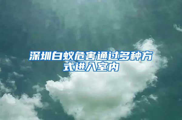 深圳白蟻危害通過多種方式進入室內