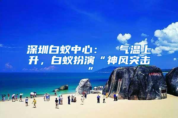 深圳白蟻中心：  氣溫上升，白蟻扮演“神風(fēng)突擊”