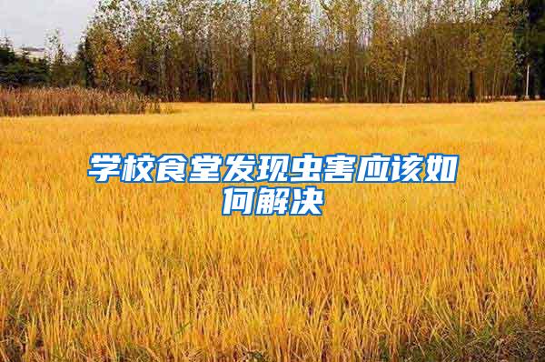 學校食堂發(fā)現(xiàn)蟲害應該如何解決