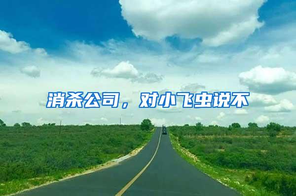 消殺公司，對(duì)小飛蟲說(shuō)不