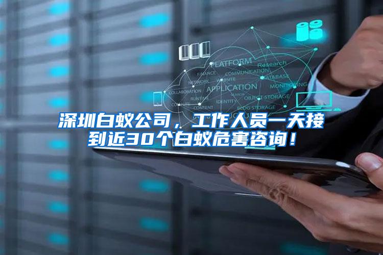 深圳白蟻公司，工作人員一天接到近30個白蟻危害咨詢！