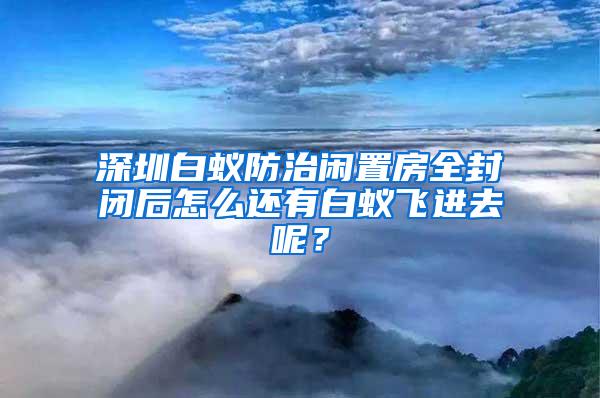 深圳白蟻防治閑置房全封閉后怎么還有白蟻飛進去呢？